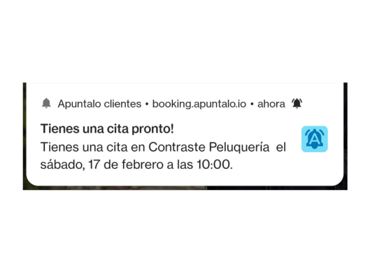 Recordatorios de citas automáticos